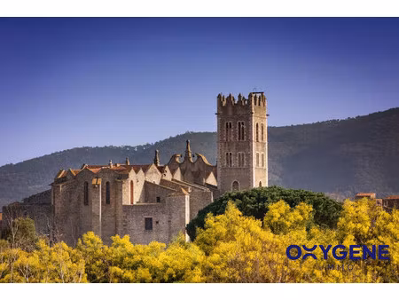 a vendre : terrain à bâtir de 1 164 m² à ille sur tet (66)