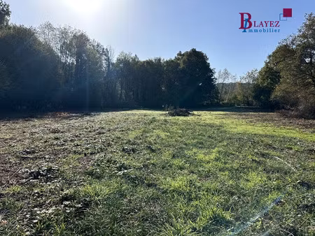 beau terrain de plus de 1 hectare