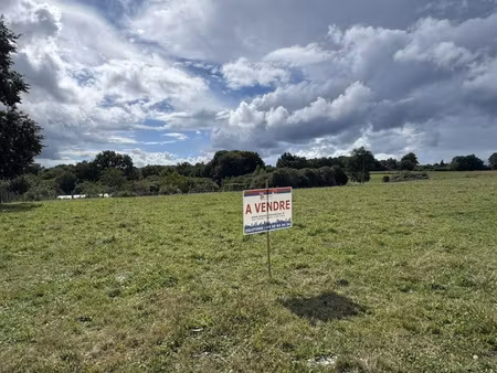 terrain constructible