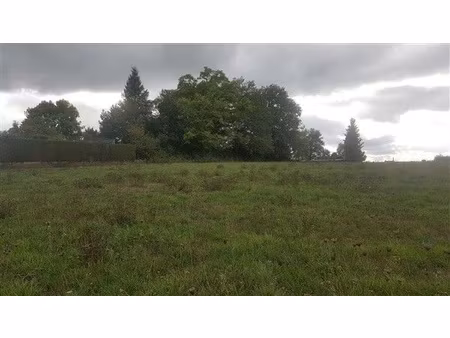 terrain constructible