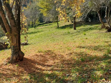 terrain constructible