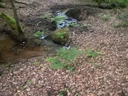 terrain non constructible