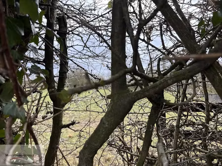 vente terrain 500 m² à le quesnoy (59530)  38 500 €