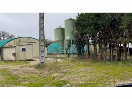 idéal élevage de volailles ou chevaux : vend maisonnette et 3 grands tunnels d'élevage plu