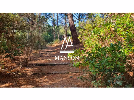 cap ferret grand terrain dans cadre préservé