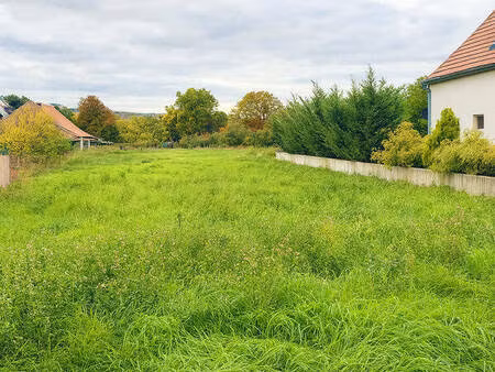 terrain - 1012m2 - scherwiller