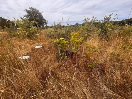 achat terrain 5 000m² st genis des fontaines 66740