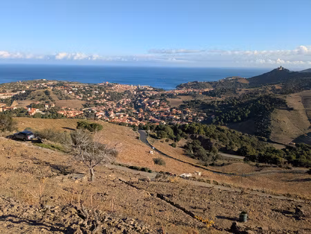 achat terrain 5 566m² collioure 66190