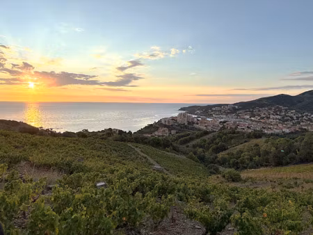 achat maison 2 pièces 620m² banyuls sur mer 66650