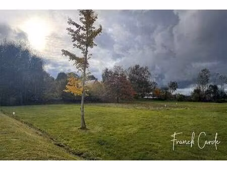 vente terrain à doudeville (76560) : à vendre / 1168m² doudeville