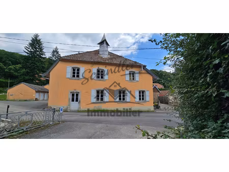 achat immeuble 1 138m² rougemont le chateau 90110