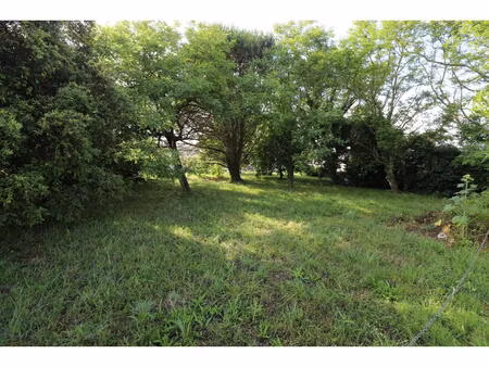 vente terrain 1277 m² saint-georges-d'oléron (17190)