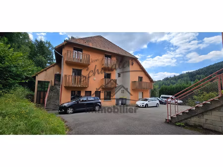 achat immeuble 1 000m² rougemont le chateau 90110