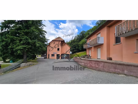 achat immeuble 890m² rougemont le chateau 90110