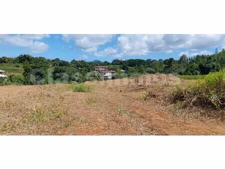 terrain plat et viabilisé - 650 m² - à ducos