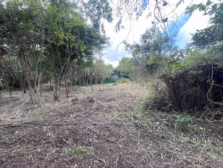 achat terrain 1 138m² st francois 97118