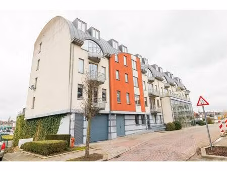 duplex à louer à julien trekkerstraat 10 woluwe-saint-etienne (rbu90665)