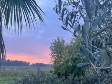 villa de luxe de 8 pièces en vente fourques (gard)  occitanie