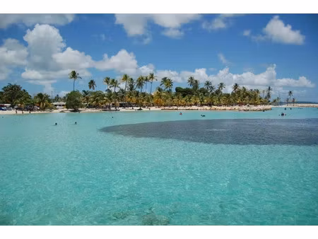 maison à vendre sainte anne 6 pièce(s) 165m2 499 000€