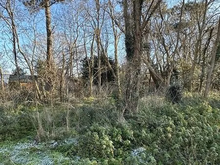 vente terrain 2330 m² grayan-et-l’hôpital (33590)