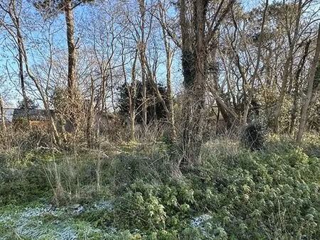 vente terrain 2330 m² grayan-et-l'hôpital (33590)