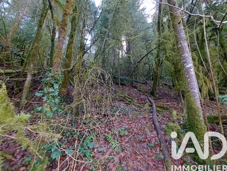 vente terrain 6 262 m²