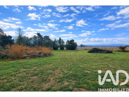 vente terrain à montescot (66200) : à vendre / 3443m² montescot