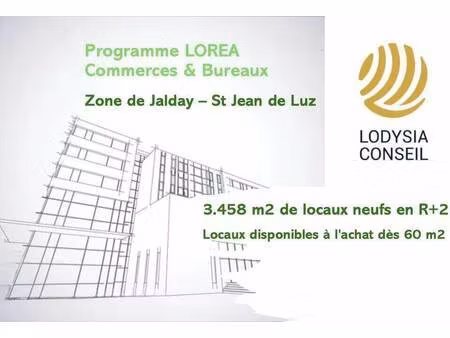 lodysia conseil