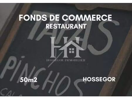 hossegor immobilier