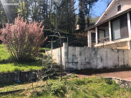 vente maison pollionnay