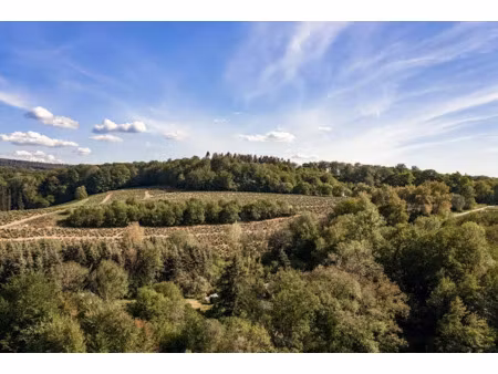 vente terrain 2000 m² à egletons (19300)  19 000 €