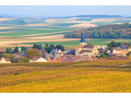 vente terrain 840 m² à arnac-pompadour (19230)  17 000 €