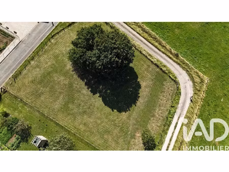 vente terrain 1545 m² à celles-en-bassigny (52360)  15 000 €