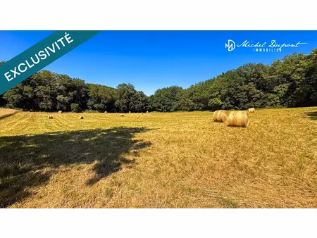 vente terrain 6866 m² à limeuil (24510)  66 000 €