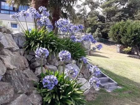 maison vue mer panoramique