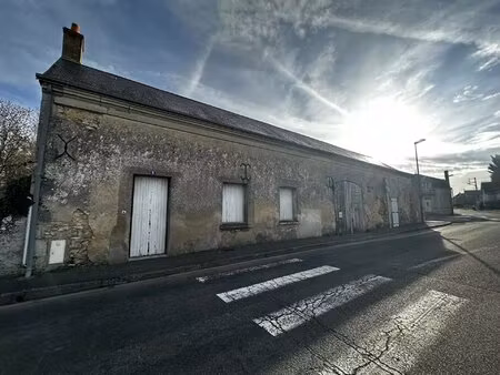 maison plain-pied - savigne sur lathan