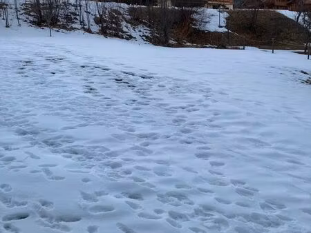 terrain les bottieres - domaine des sybelles