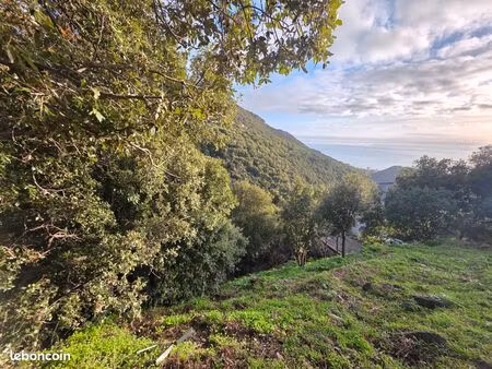 terrain 316 m2 constructible vue mer ville di pietrabugno guaitella