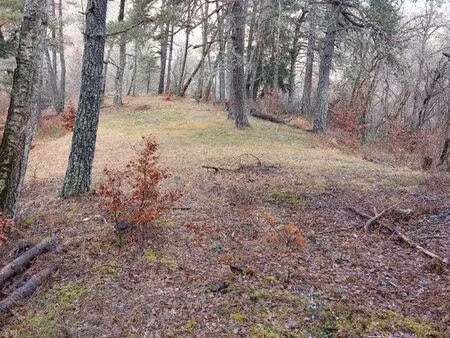 terrain 2300m² constructible 04140