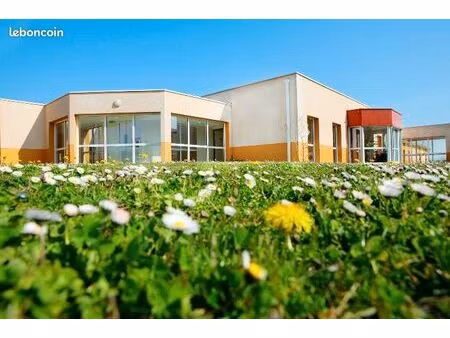 chambre 1 pièce 21 m²