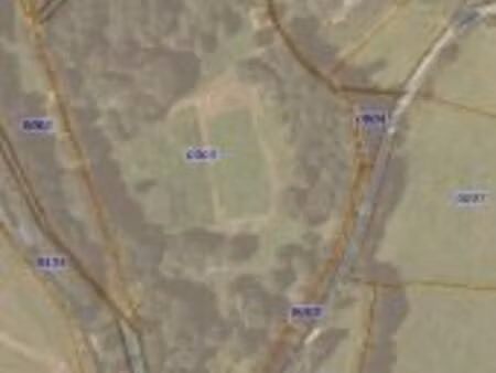 terrain pour chevaux