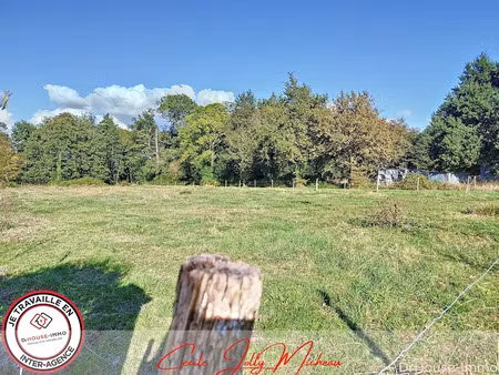 vente terrain 4392 m² à cartelègue (33390)  158 000 €