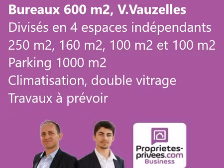 vente locaux professionnels 600 m² à varennes-vauzelles (58640)  139 000 €