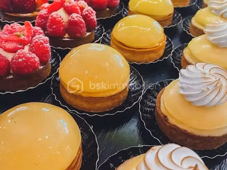 vente locaux professionnels à mandelieu-la-napoule (06210)  642 000 €