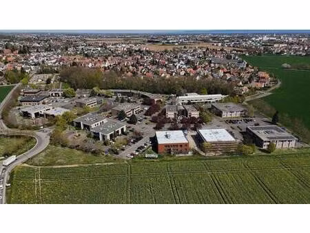 scharf immobilier