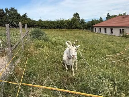 recherche parcelle en location