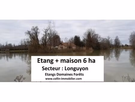 en vente terrain constructible 550 ares – 420 000 € |longuyon