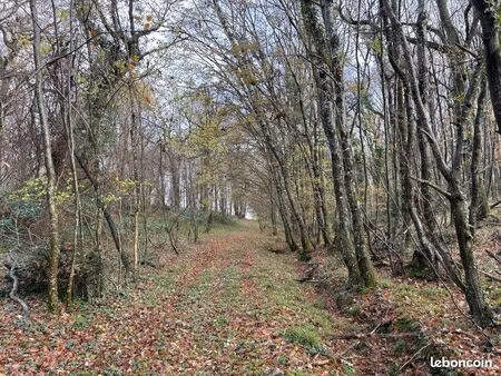 forêt à très bon potentiel sylvicole et cynégétique