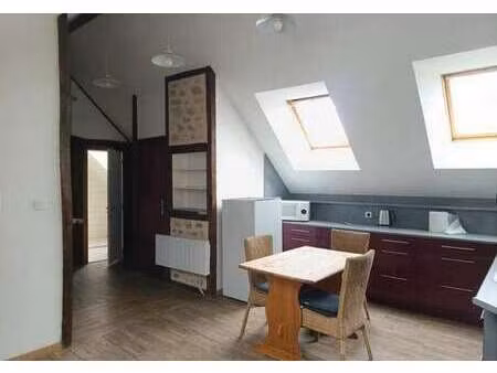 location appartement loft à assé-le-boisne (72130) : à louer loft / 30m² assé-le-boisne