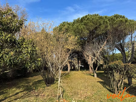 ref : serresfond - bois de serres - carcassonne - terrain 700 m2 environ plat dans pinède